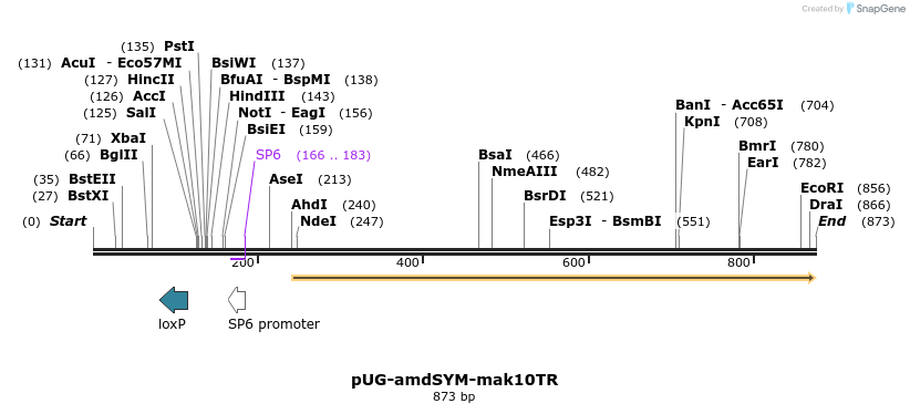 149192_map
