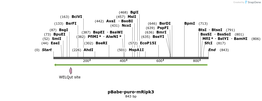 149209_map