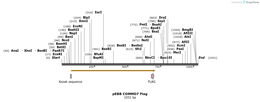 149213_map