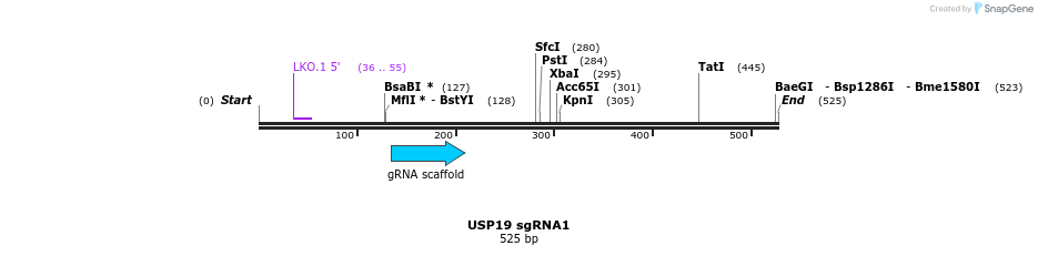 149216_map