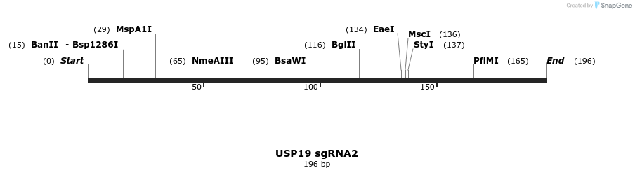 149217_map