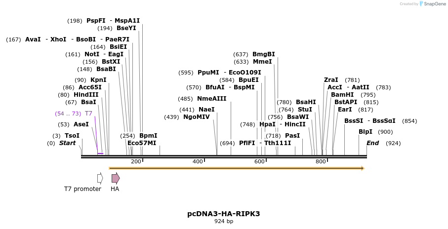 149219_map