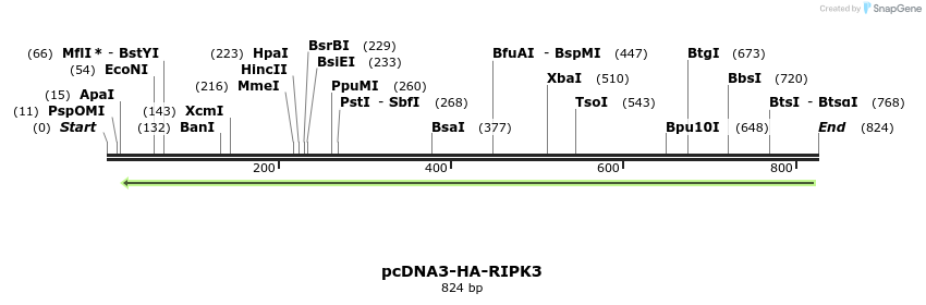 149220_map
