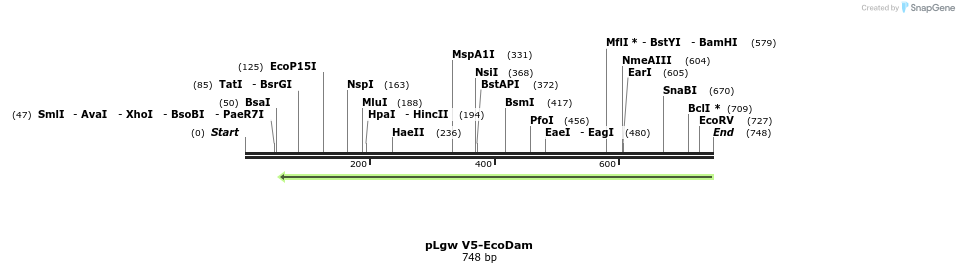 149222_map