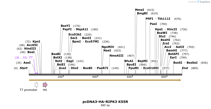 149227_map