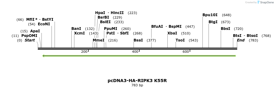 149228_map
