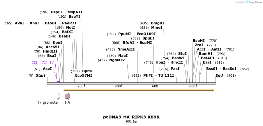 149230_map