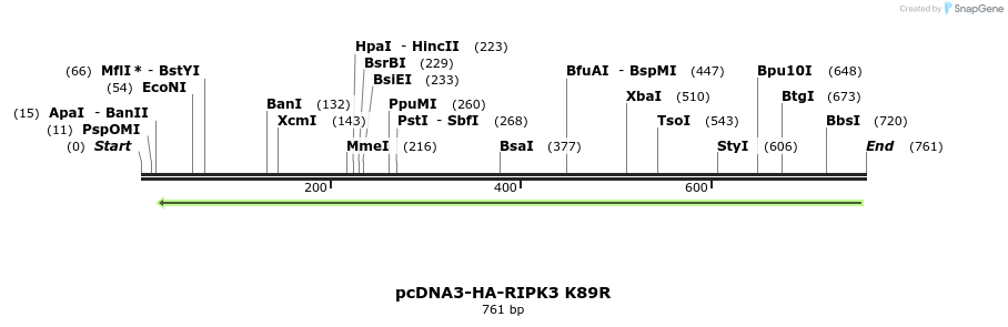 149231_map