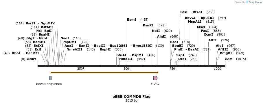 149233_map