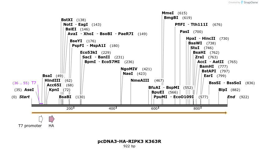 149235_map