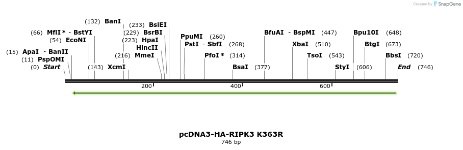149236_map