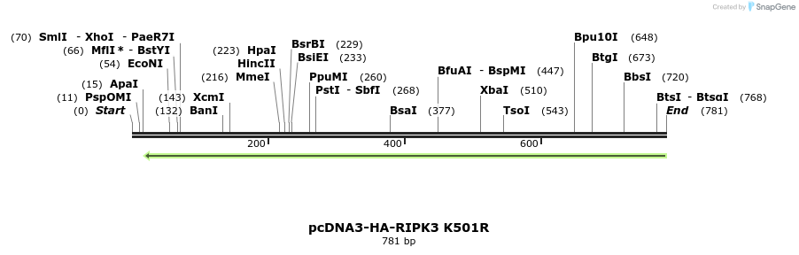 149240_map