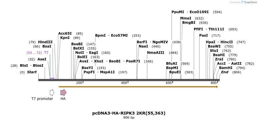 149242_map