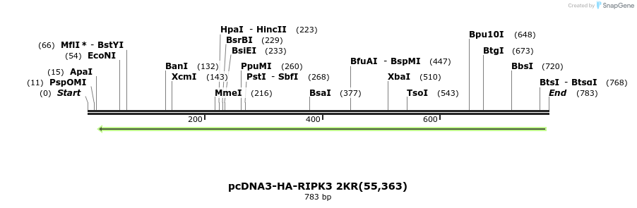 149243_map