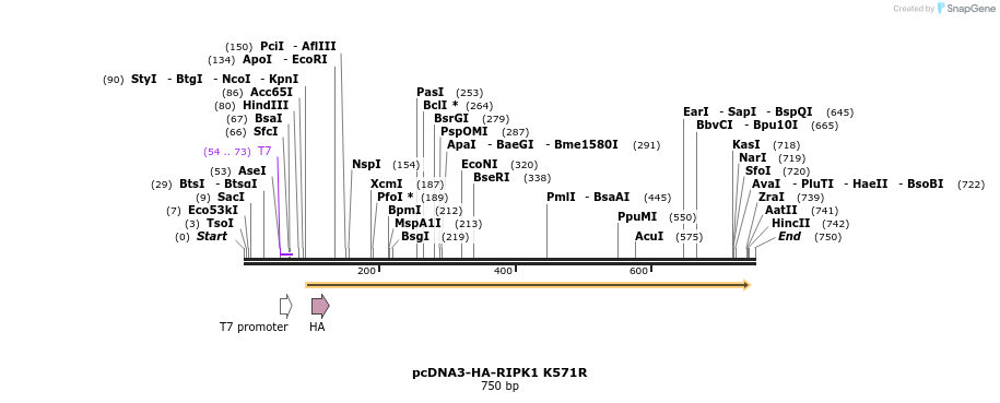 149244_map