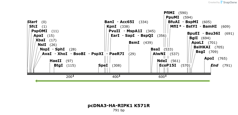 149246_map