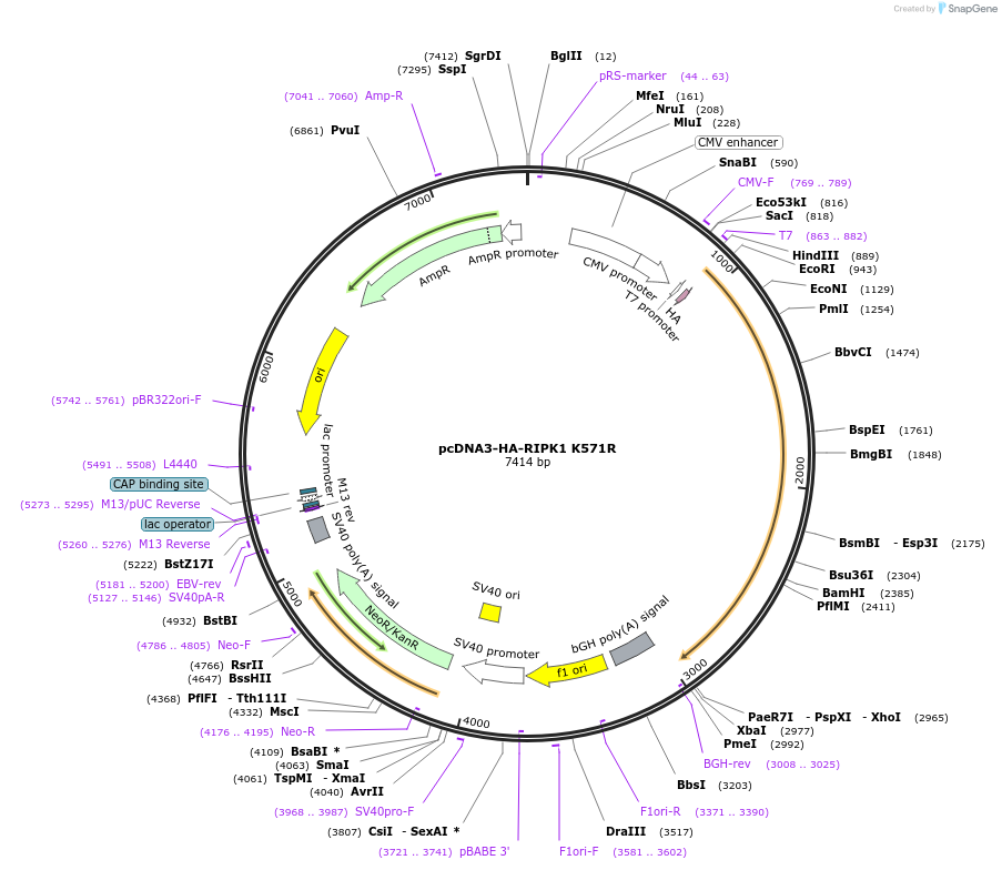 149248_map