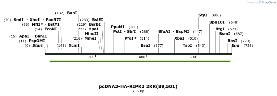 149250_map