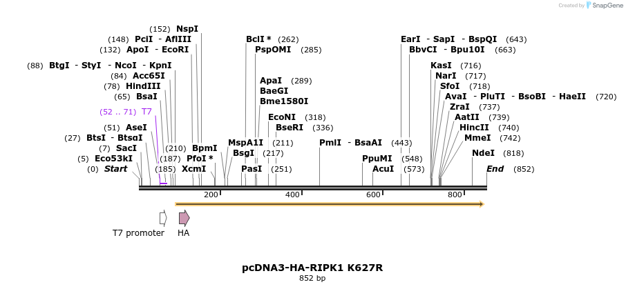 149252_map