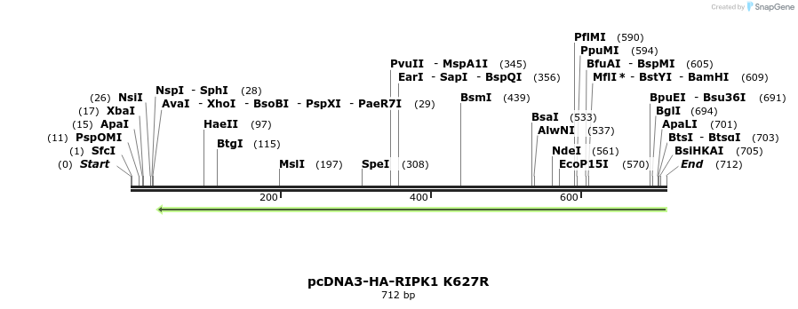 149253_map