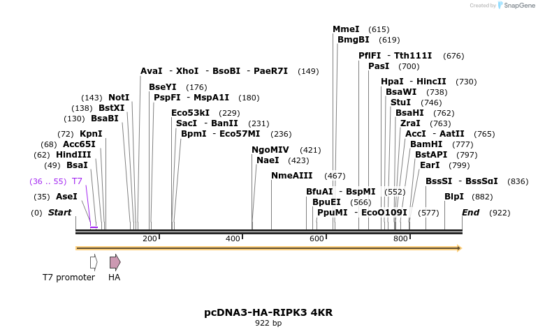 149256_map