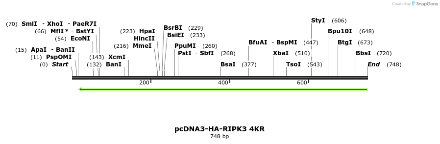 149257_map
