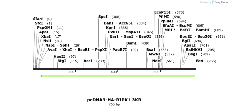 149262_map