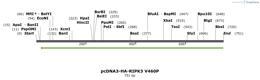 149264_map