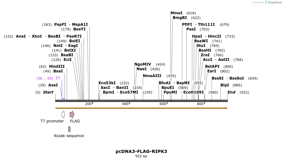 149267_map
