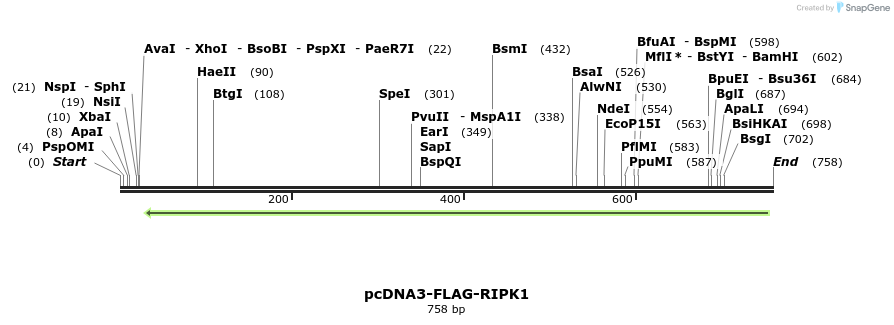 149274_map