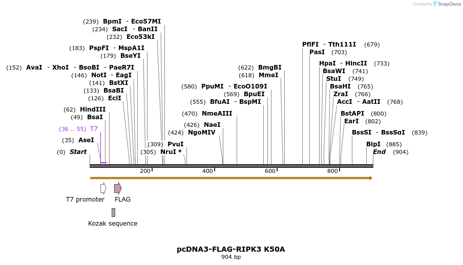 149275_map