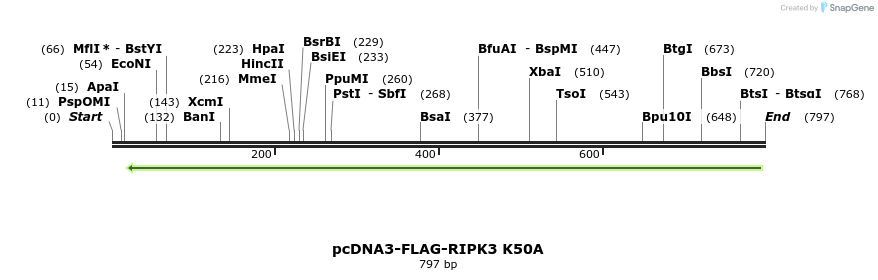 149276_map