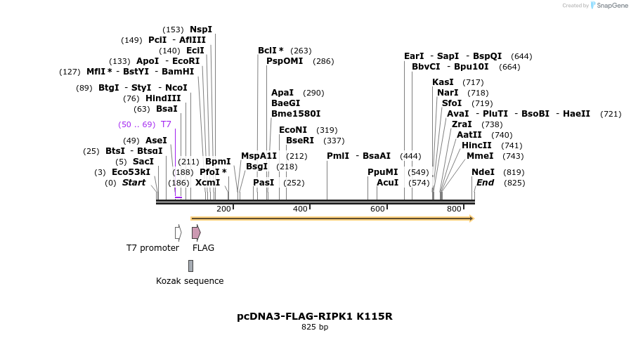 149281_map
