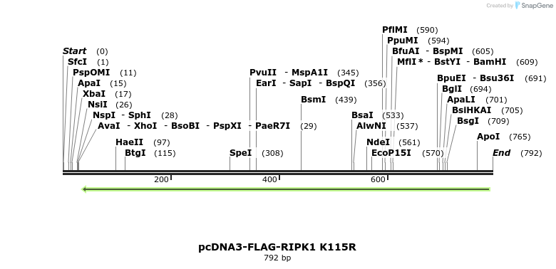 149282_map