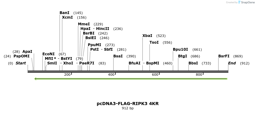 149284_map