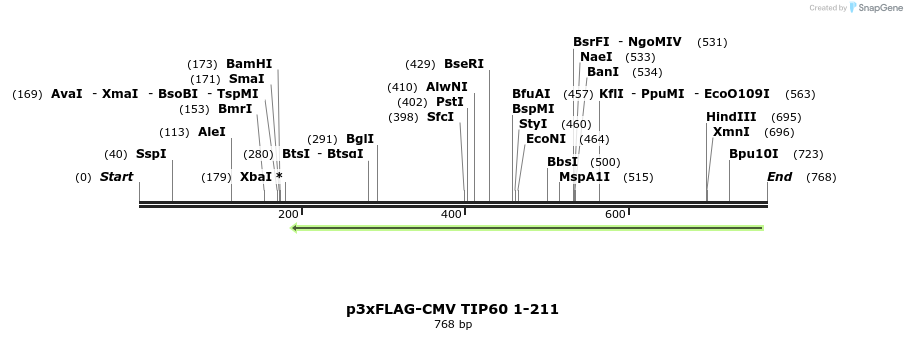 149288_map