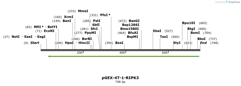 149290_map