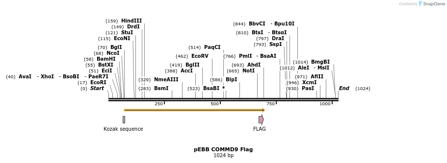 149292_map
