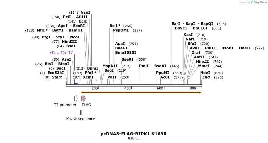 149293_map