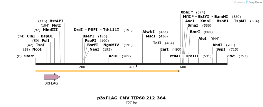 149294_map