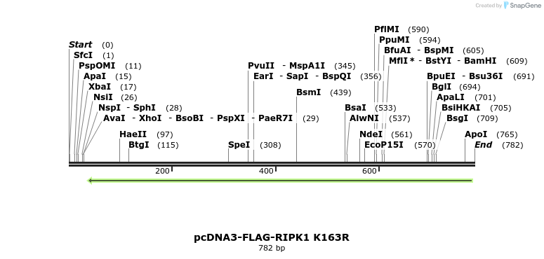 149295_map