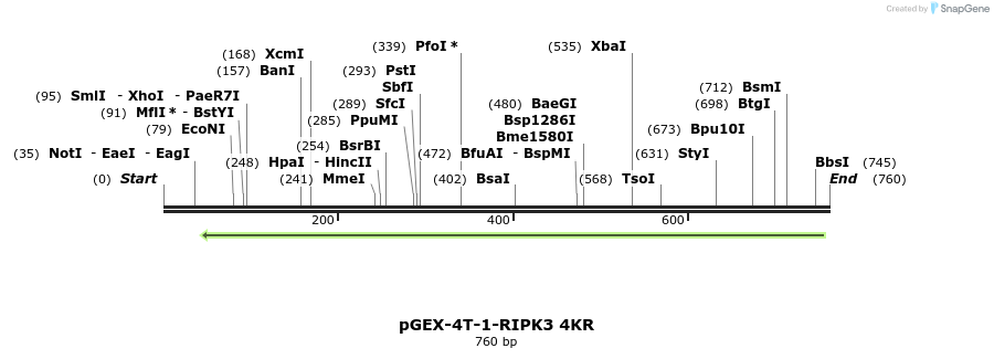 149296_map