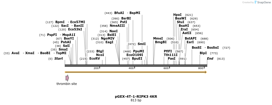 149297_map
