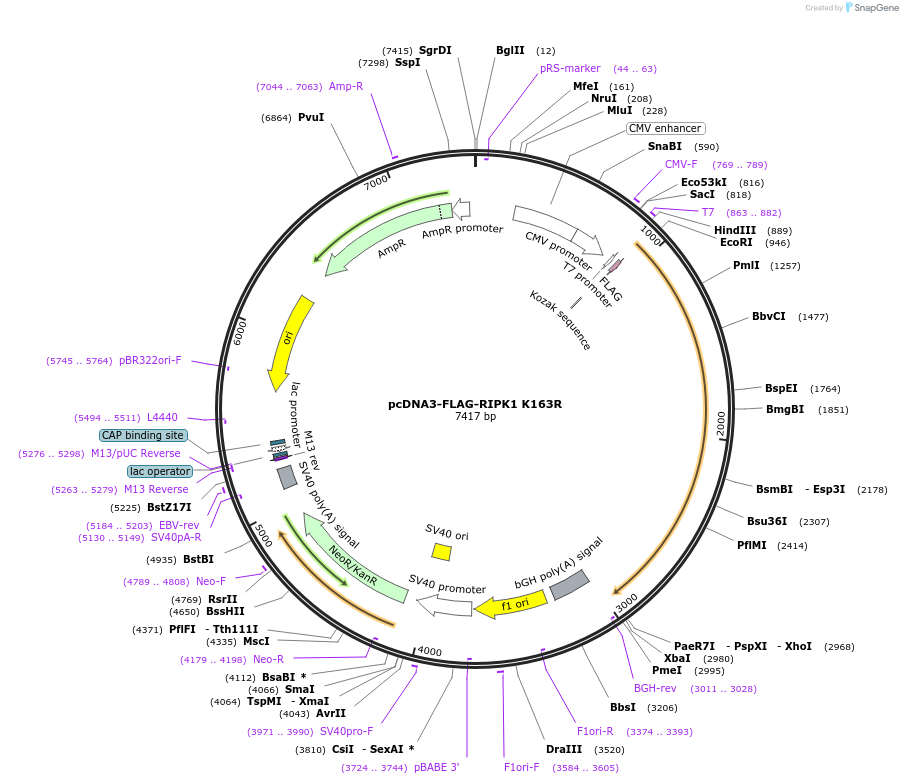 149298_map