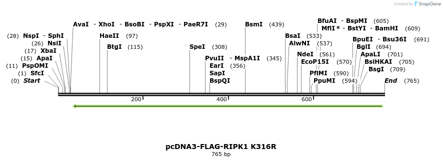 149301_map