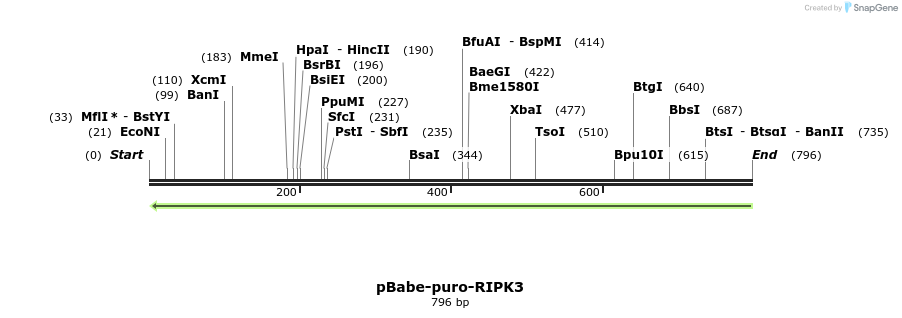 149303_map