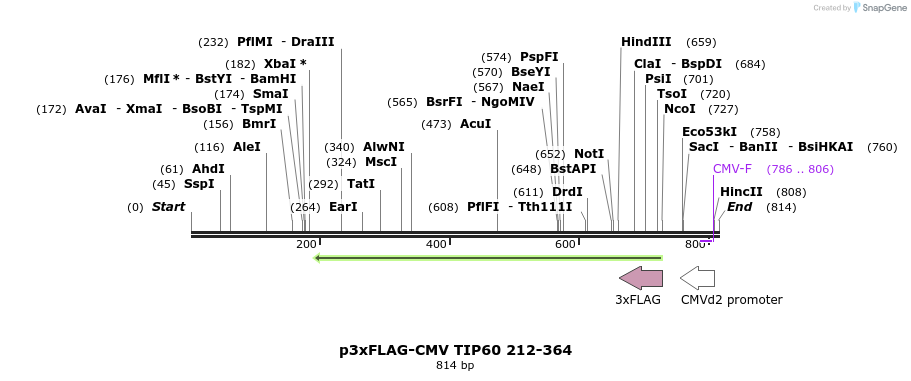 149304_map