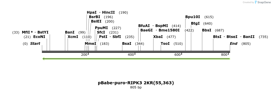 149306_map