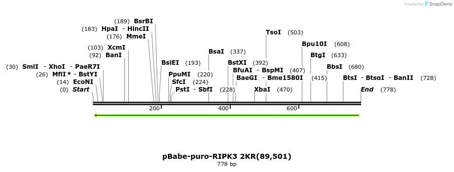 149310_map