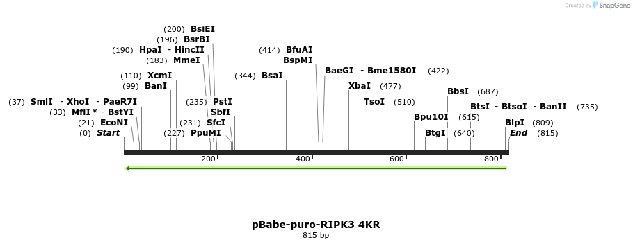 149312_map